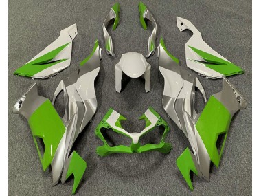 Shop Green White and Silver Kawasaki ZX6R Motorcycle Fairings 19-20