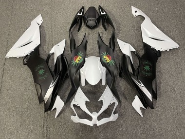 Shop Happy Face Kawasaki ZX6R Motorcycle Fairings 19-20